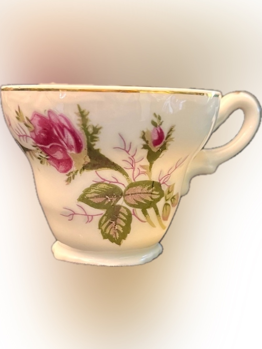 Vintage Moss Rose Japan Porcelain Tea Cup & Creamer Pitcher Set Gilded Gold Trim